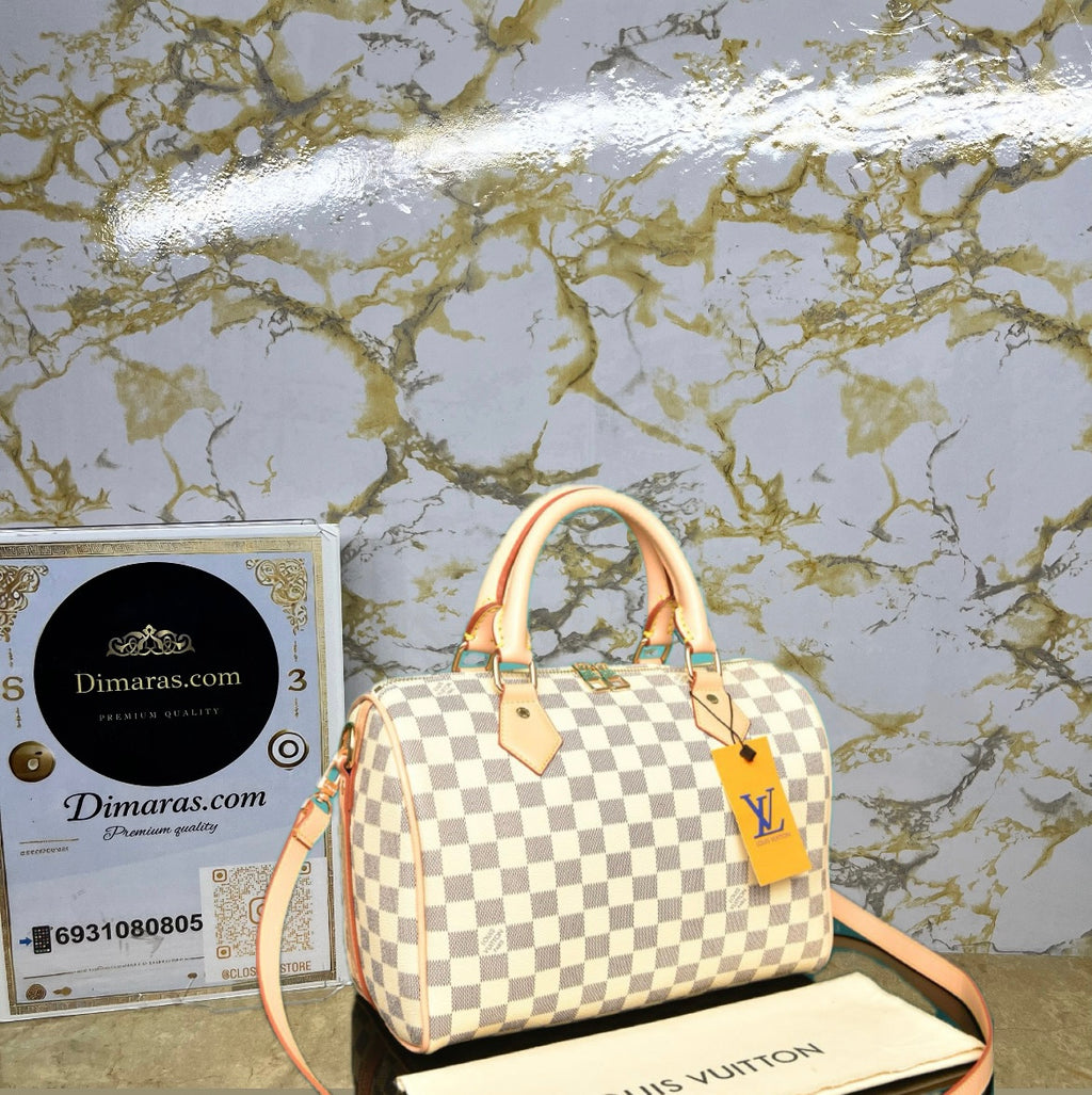 LV Speedy damier (30cm)