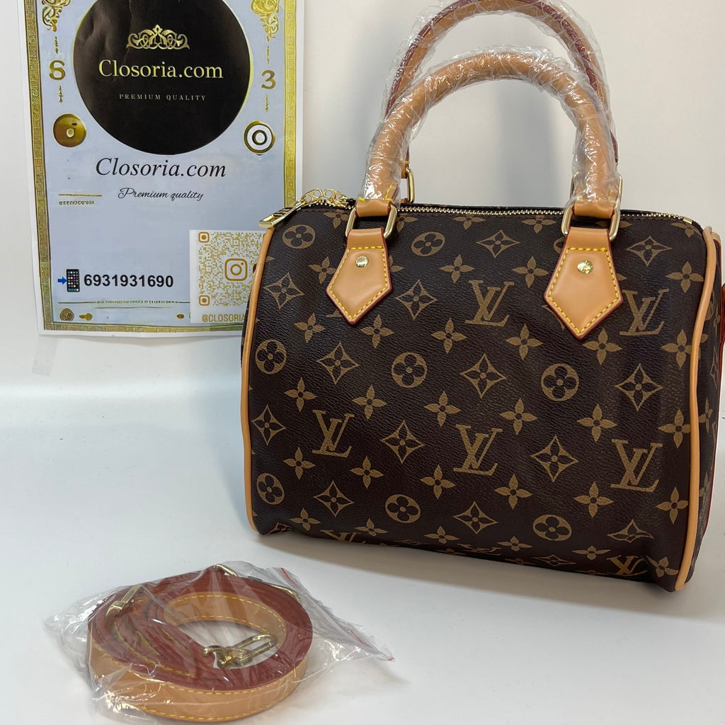 LV Speedy  monogram  (25cm x 17cm)