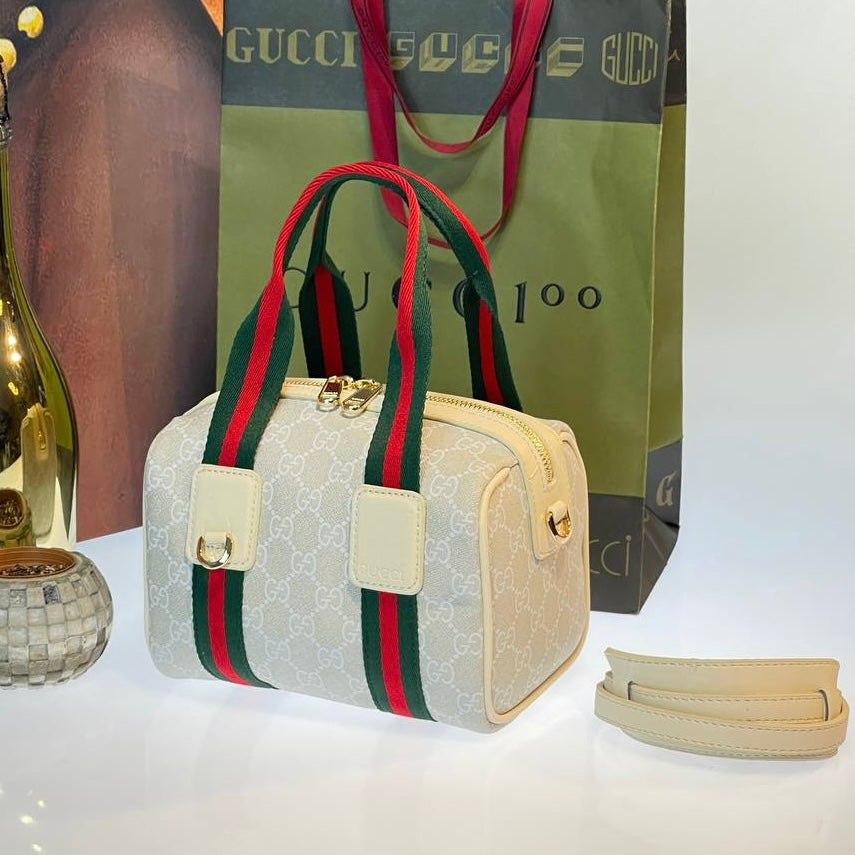 GG MINI HANDBAG(20cm x 13cm)