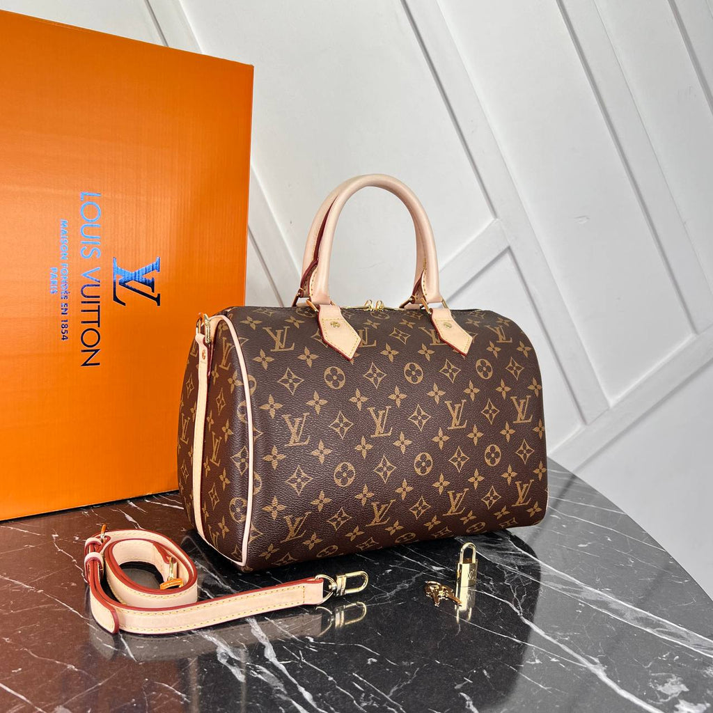 LV Speedy  monogram  (25cm x 17cm)