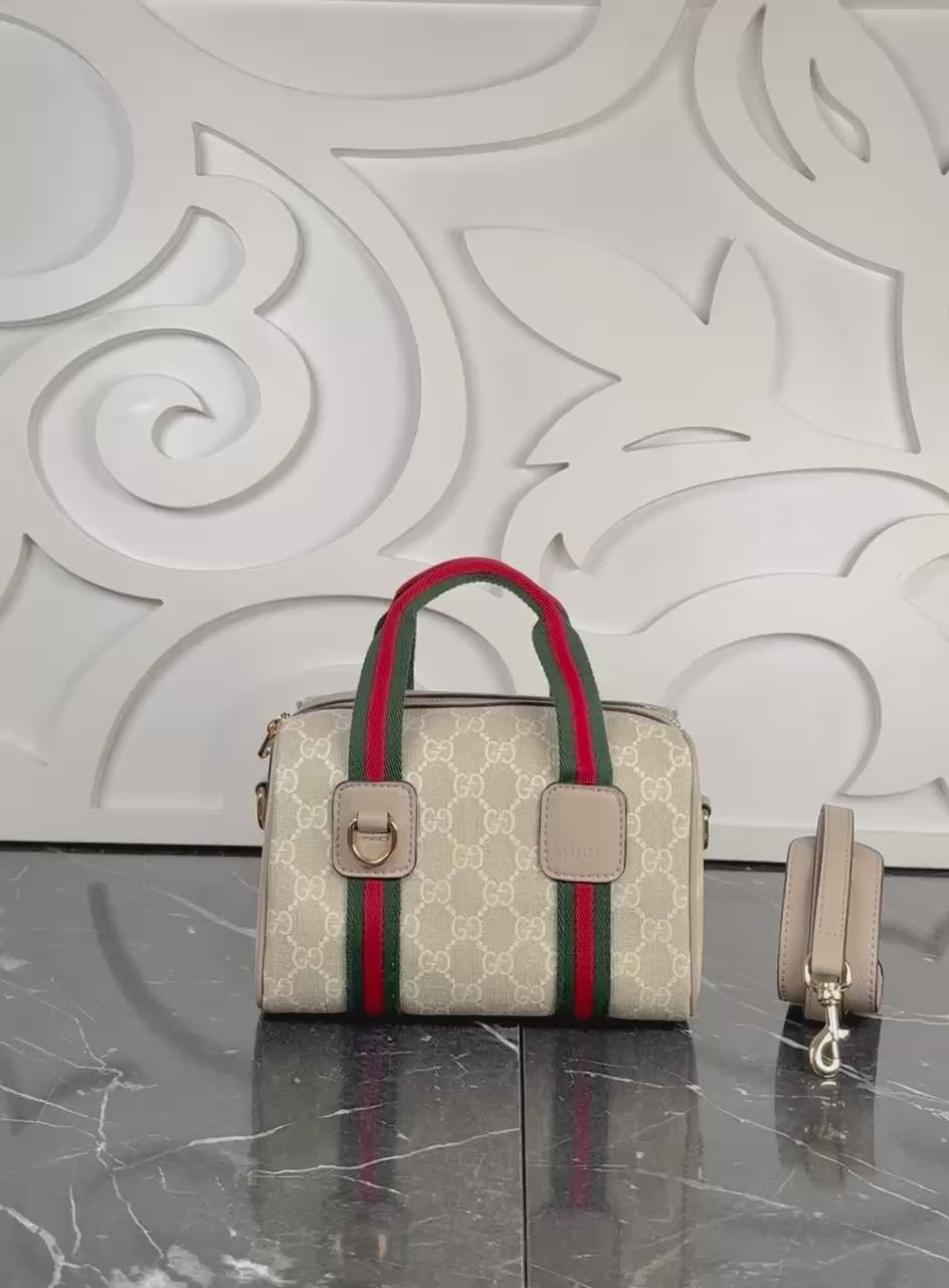 GG MINI HANDBAG(20cm x 13cm)