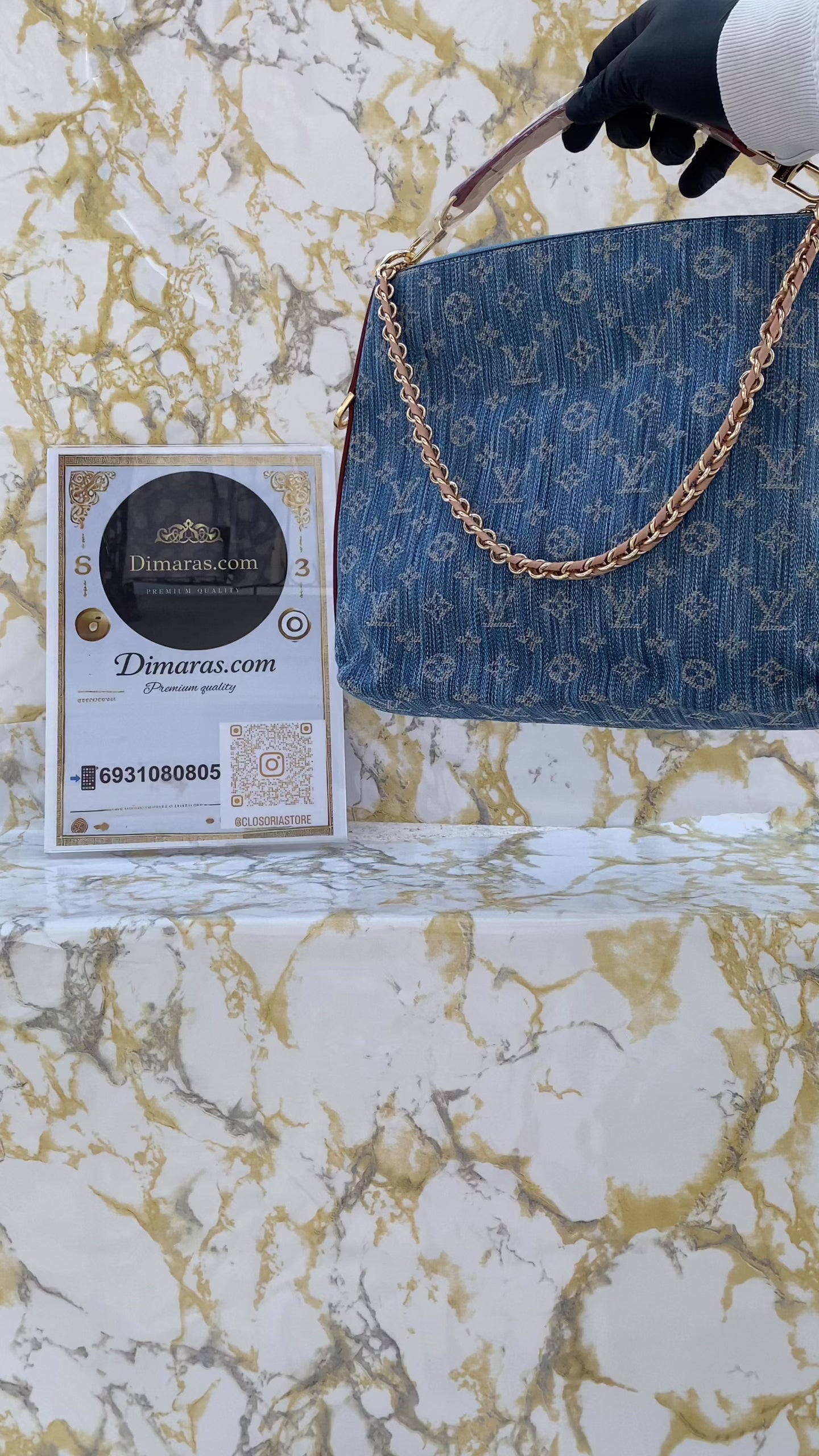 Louis Vuitton multipass monogram jean (27cm x 25cm)