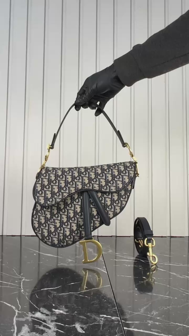 DIOR SADDLE (19cm x 17cm)